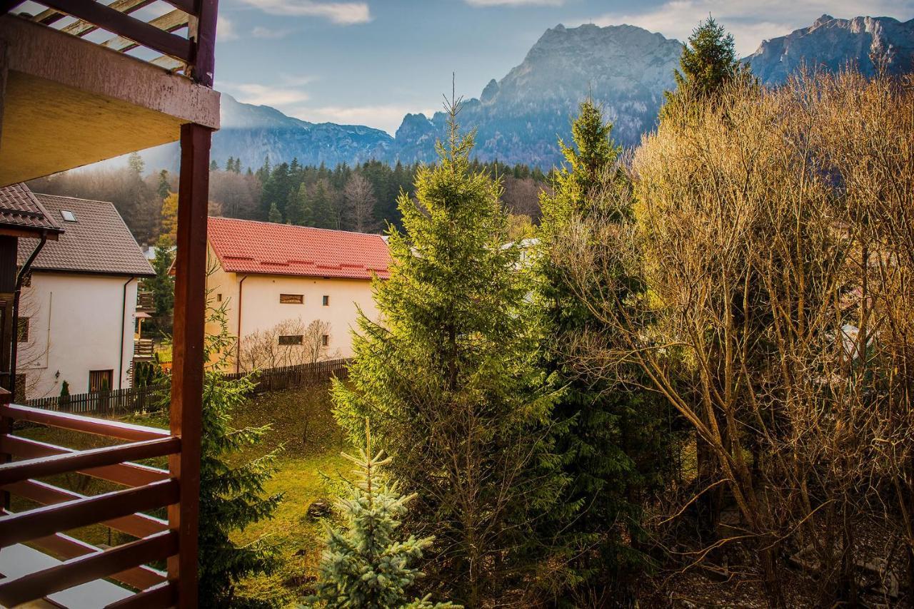 Casa Maia Buşteni Exterior foto
