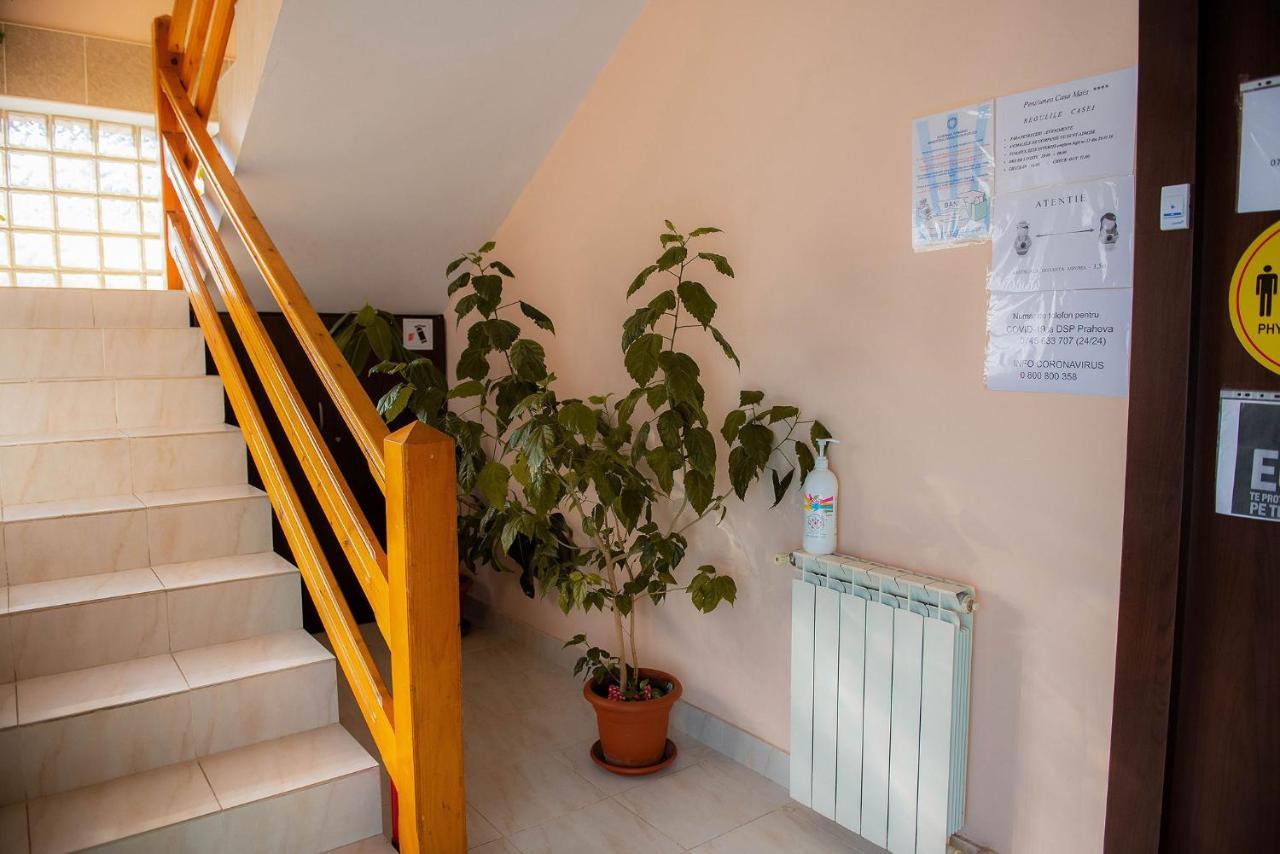 Casa Maia Buşteni Exterior foto